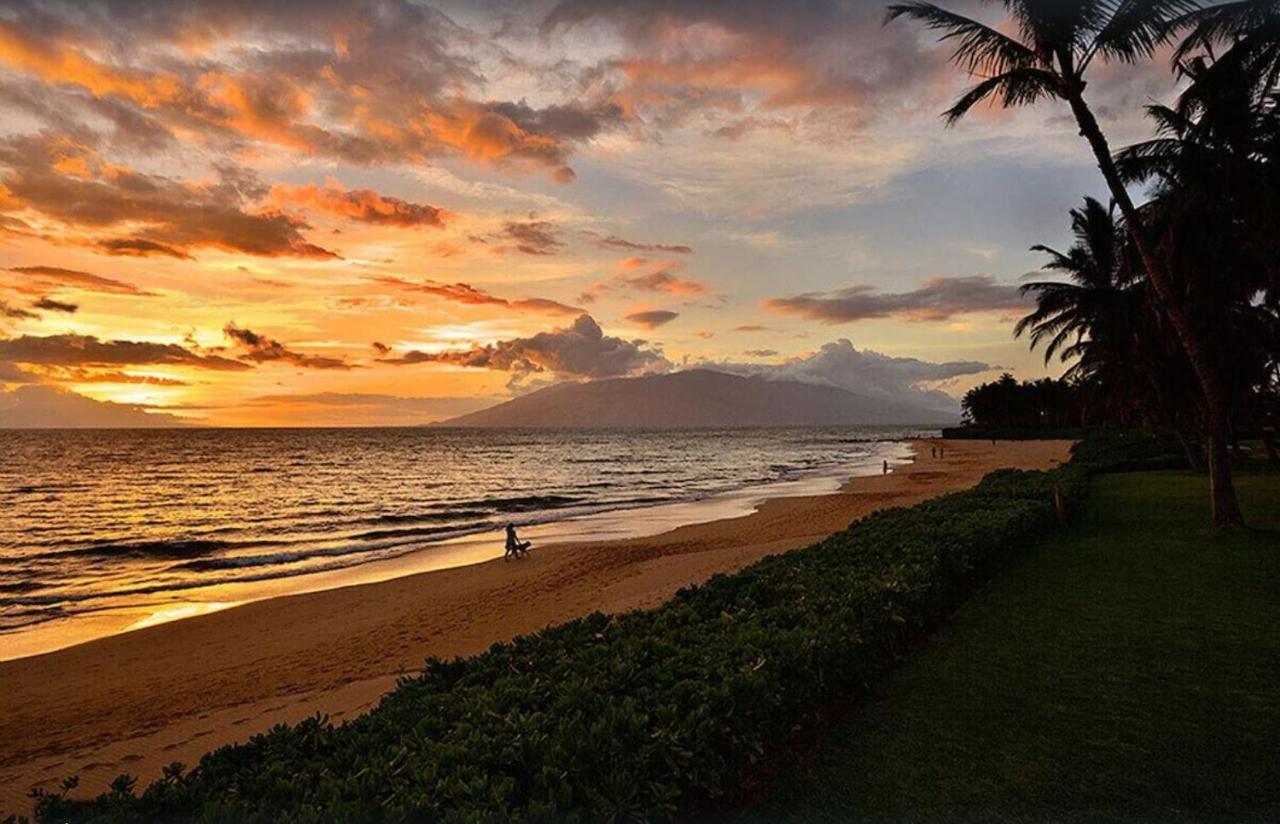 Tropical Maui Kamaole B-Bldg Apartman Wailea  Kültér fotó